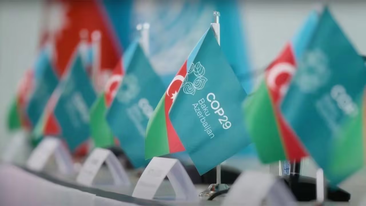 COP29顺利闭幕：中碳森林收获颇丰，国际合作取得新突破