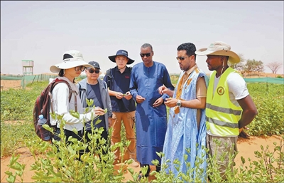 Providing a New Model for Green Development in Africa (China-Africa Cooperation in the New Era) ——A Visit to the China-Africa Green Technology Park in Mauritania